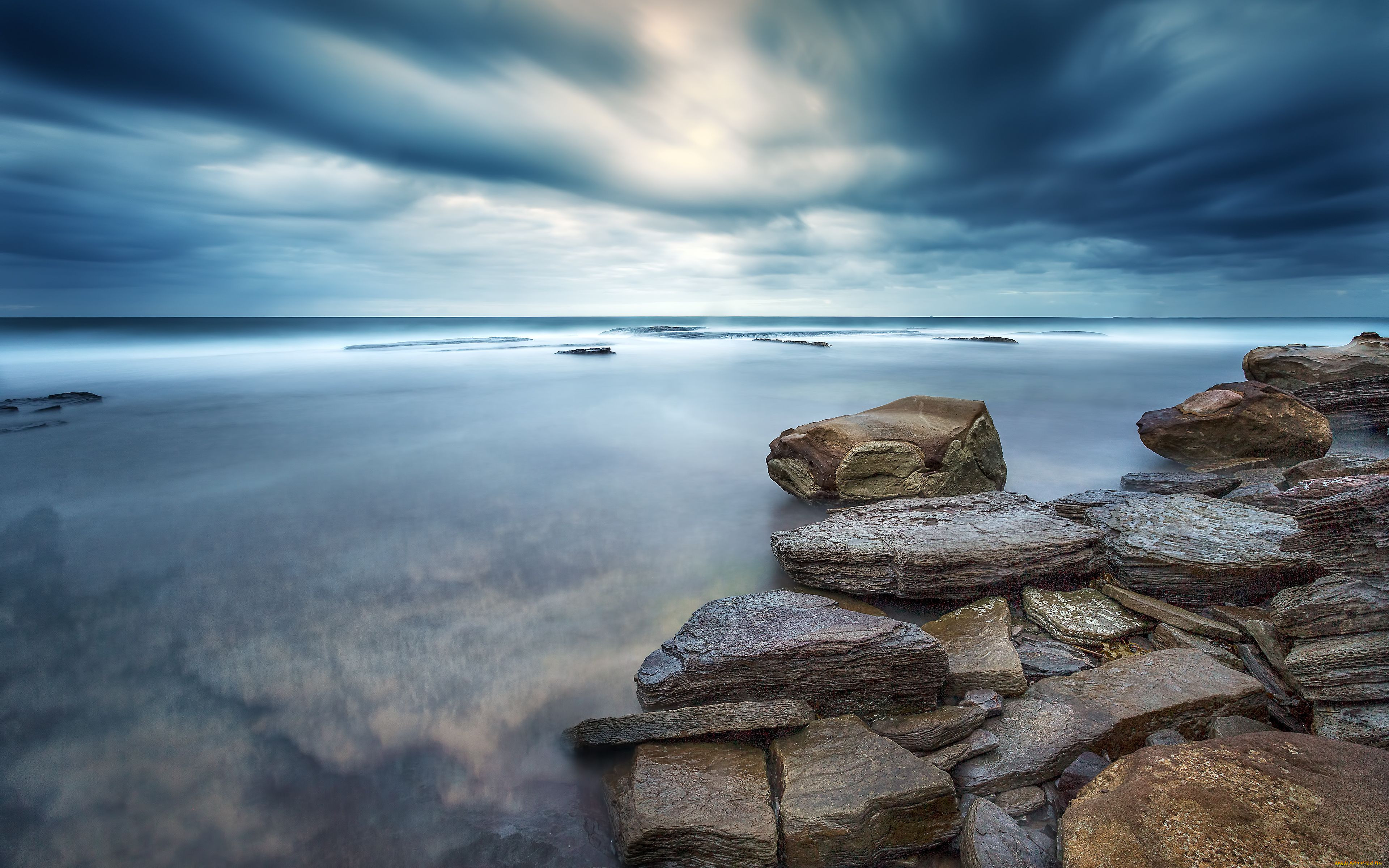 whale, beach, new, south, wales, australia, , , , tasman, sea, , , , , 